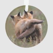 Animaux de bébés cutest | Tails de verrouillage de (dos)