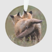 Animaux de bébés cutest | Tails de verrouillage de (devant)