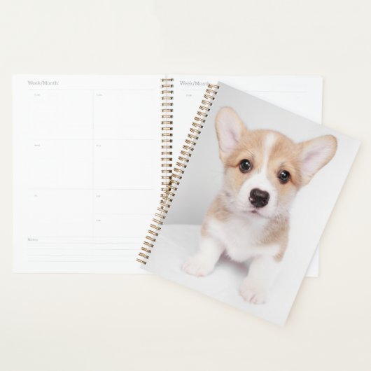 Animaux de bébés cutest | Tiny Corgi (Devant avec enveloppe)