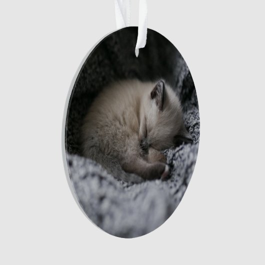 Animaux de bébés cutest | Tiny Kitten Dormir (devant)