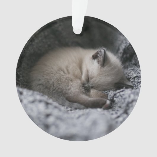 Animaux de bébés cutest | Tiny Kitten Dormir (devant)