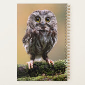 Animaux de bébés cutest | Un hibou-bébé (Dos)