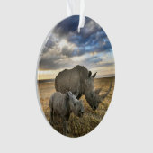 Animaux de bébés cutest | White Rhino & Calf (devant)