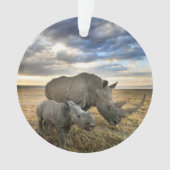 Animaux de bébés cutest | White Rhino & Calf (devant)