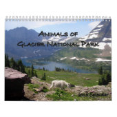 Animaux de calendrier du parc national 2015 de (Protection)