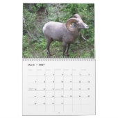 Animaux de calendrier du parc national 2015 de (Mar 2027)