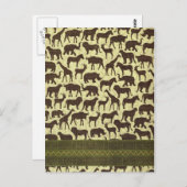 Animaux de cartes postales d'Afrique (Devant / Derrière)