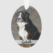 Animaux de compagnie à deux côtés Nom de la photo  (dos)