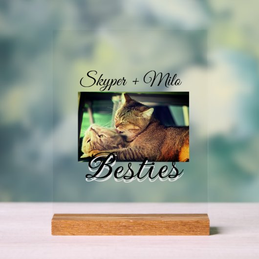 Animaux de compagnie amis besties ajouter nom anim (Neutre)