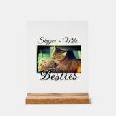 Animaux de compagnie amis besties ajouter nom anim (Recto)