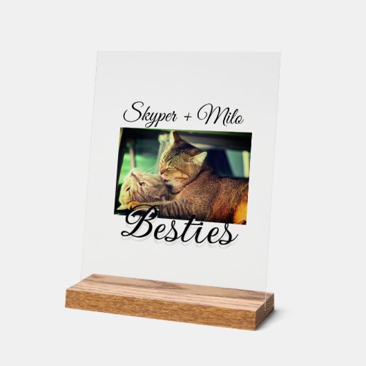 Animaux de compagnie amis besties ajouter nom anim (Angle)