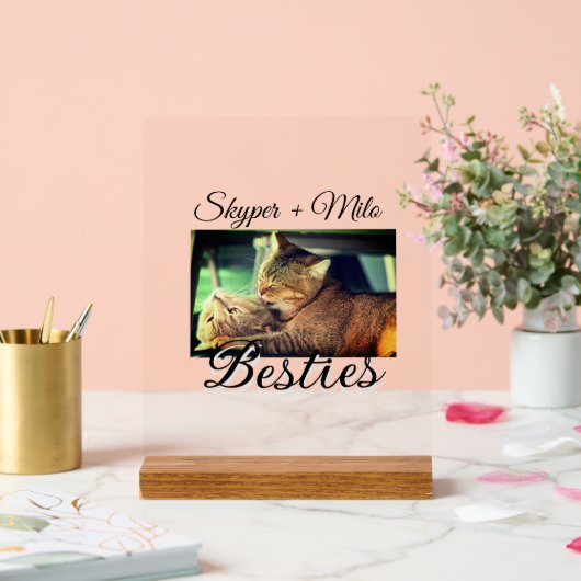 Animaux de compagnie amis besties ajouter nom anim (Mariage)