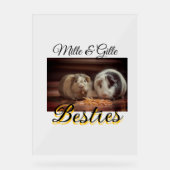 Animaux de compagnie amis besties ajouter nom anim (Recto)