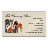 Animaux de compagnie Carte de visite moderne Magne (devant)