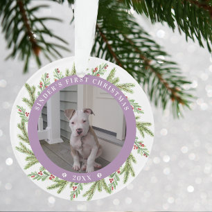 Animaux de compagnie Chien chiot Premier Noël 2 Ph