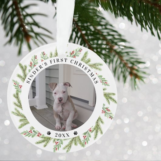 Animaux de compagnie Chien chiot Premier Noël 2 Ph