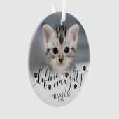 Animaux de compagnie Définir Naughty Chat Photo No (devant)