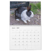 Animaux de compagnie et de ferme calendrier 2026 (Mar 2027)