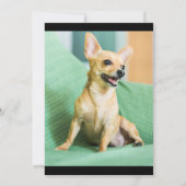 Animaux de compagnie Faire-part fourrure bébé phot (Dos)