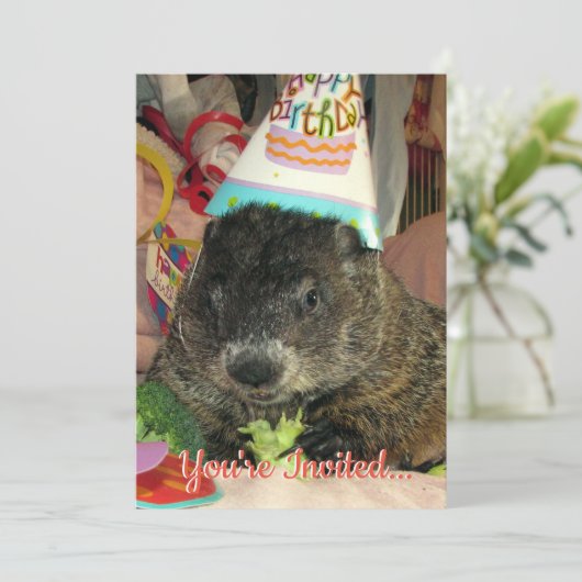 Animaux de compagnie Groundhog Moses Invitation d' (Debout devant)
