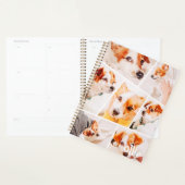 Animaux de compagnie Moderne Simple Personnalisé 7 (Devant avec enveloppe)