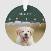 Animaux de compagnie personnalisés utilisant le ch (devant)