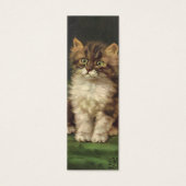 Animaux de compagnie vintage, chaton rayé mignon (Devant)