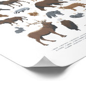 Animaux de la faune des terres boisées Décoration  (Coin)