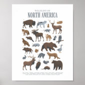 Animaux de la faune forestière Décoration de chamb (Devant)