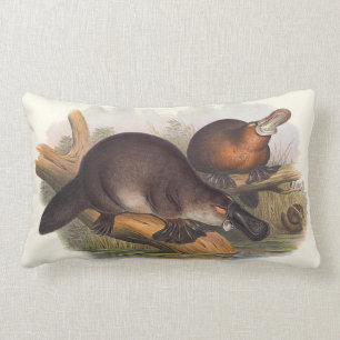 Animaux des coussins de l'Australie