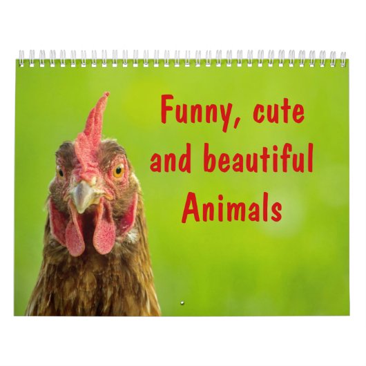 Animaux drôles, mignons et beaux - calendrier 2017 (Protection)