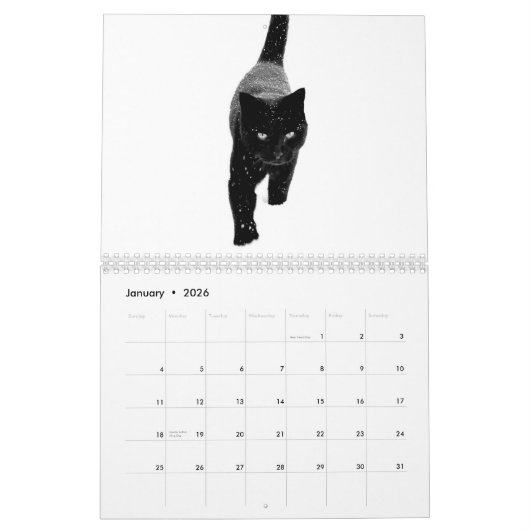 Animaux drôles, mignons et beaux - calendrier 2017 (Jan 2026)