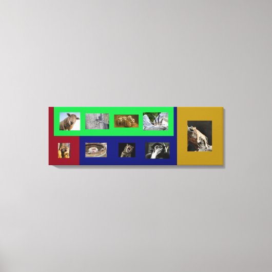Animaux drôles sur toile colorée tendue (Recto)