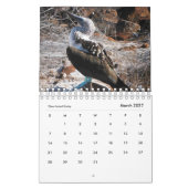 Animaux du calendrier de Galapagos 2019 (Mar 2027)