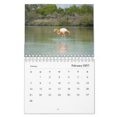 Animaux du calendrier de Galapagos 2019 (Feb 2027)
