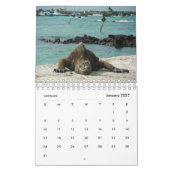 Animaux du calendrier de Galapagos 2019 (Jan 2027)