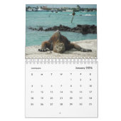Animaux du calendrier de Galapagos 2019 (Jan 2026)