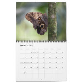 Animaux du calendrier du Costa Rica (Feb 2027)