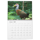 Animaux du calendrier du Costa Rica (Jan 2027)