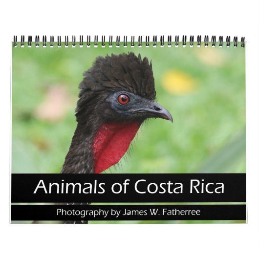 Animaux du calendrier du Costa Rica (Protection)