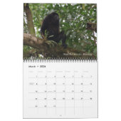 Animaux du calendrier du Costa Rica (Mar 2026)