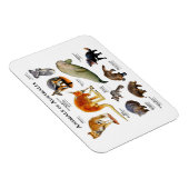 Animaux du Magnet australien (Côté Droit)
