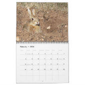 Animaux du parc d'état de Custer 2026 Calendrier (Feb 2026)