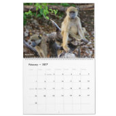 Animaux et Oiseaux d'Afrique Calendrier 2027 (Feb 2027)