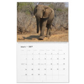 Animaux et Oiseaux d'Afrique Calendrier 2027 (Mar 2027)