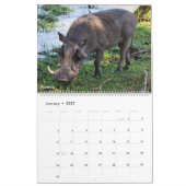 Animaux et Oiseaux d'Afrique Calendrier 2027 (Jan 2027)