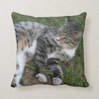 Animaux familiers de coussin