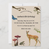 Animaux modifiables dans la forêt Invitation (Devant)