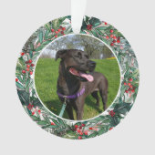 Animaux photo pour chiens ou chats de vacances (devant)