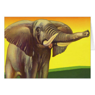 Animaux Sauvages Vintage, Éléphant d'Afrique au Co